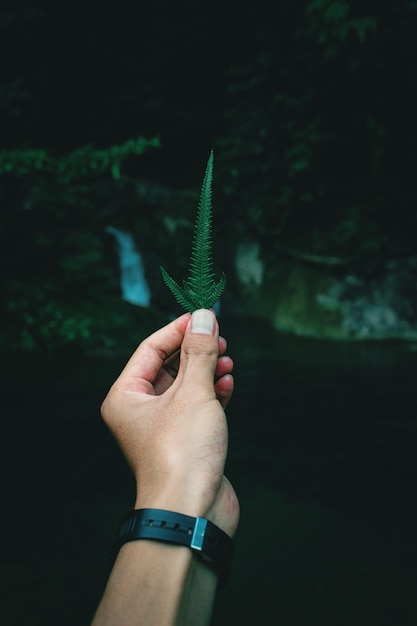 A close up of an open hand holding a small sapling, with blurred financial charts and graphs in the background, symbolizing the growth of investments over time.
