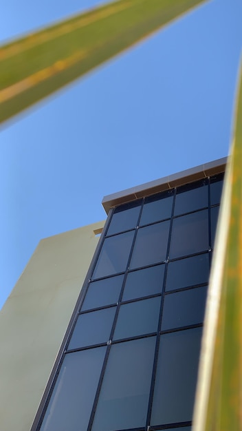 A modern office building with solar panels on the roof, symbolizing a business investing in renewable energy to offset rising energy costs. The sky is bright and sunny, suggesting a sustainable future.