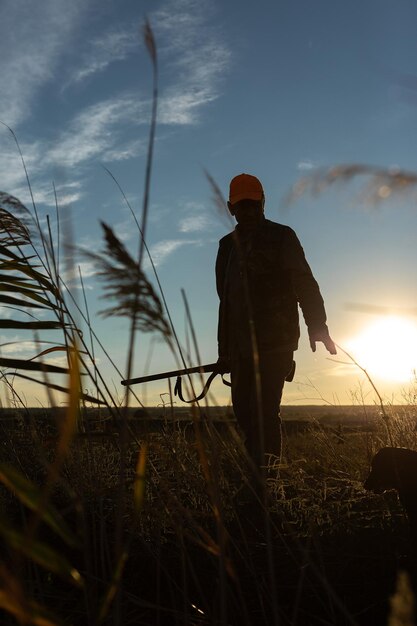 A farmer working in a large field, overseeing the harvest. The image represents the agriculture sector and its reliance on immigrant labor.