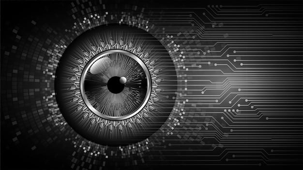 Personal Finance Alert: Protecting Your Finances from Identity Theft and Fraud in 2025