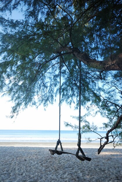 A serene beach scene with a hammock strung between two palm trees, subtly suggesting relaxation and mental refreshment during paid time off. The image is bright and inviting, meant to evoke a sense of calm.